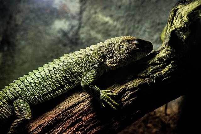 UX researcher conducting usability testing interview session